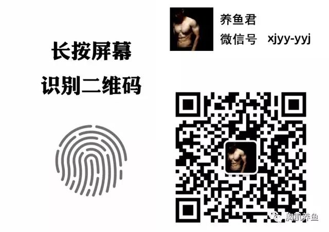 健身手套多少錢_健身手套的作用_健身手套知乎