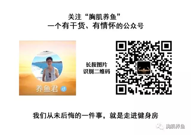 健身手套多少錢_健身手套的作用_健身手套知乎