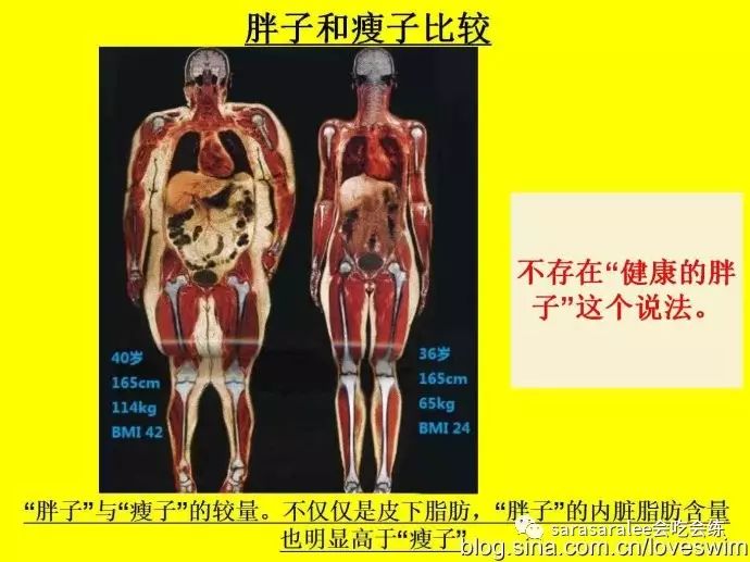 心率運動時_有氧運動時的合適心率_有氧活動心率