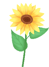 康姿百德第六套廣場舞_廣場舞康姿百德第三套視頻_康姿百德健身舞