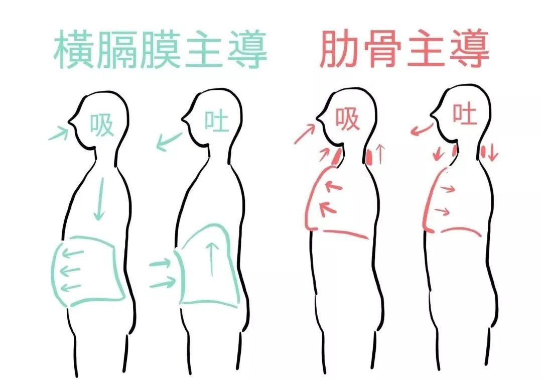 呼吸與力量訓(xùn)練的配合_呼吸力量訓(xùn)練感悟_做力量訓(xùn)練時(shí)呼吸方法