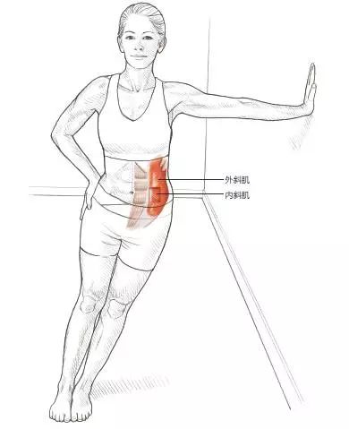 健身后拉伸的重要性_健身拉伸有用嗎_拉伸對(duì)于健身的重要性