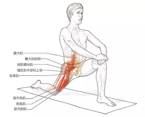 健身后拉伸的重要性_健身拉伸有用嗎_拉伸對(duì)于健身的重要性