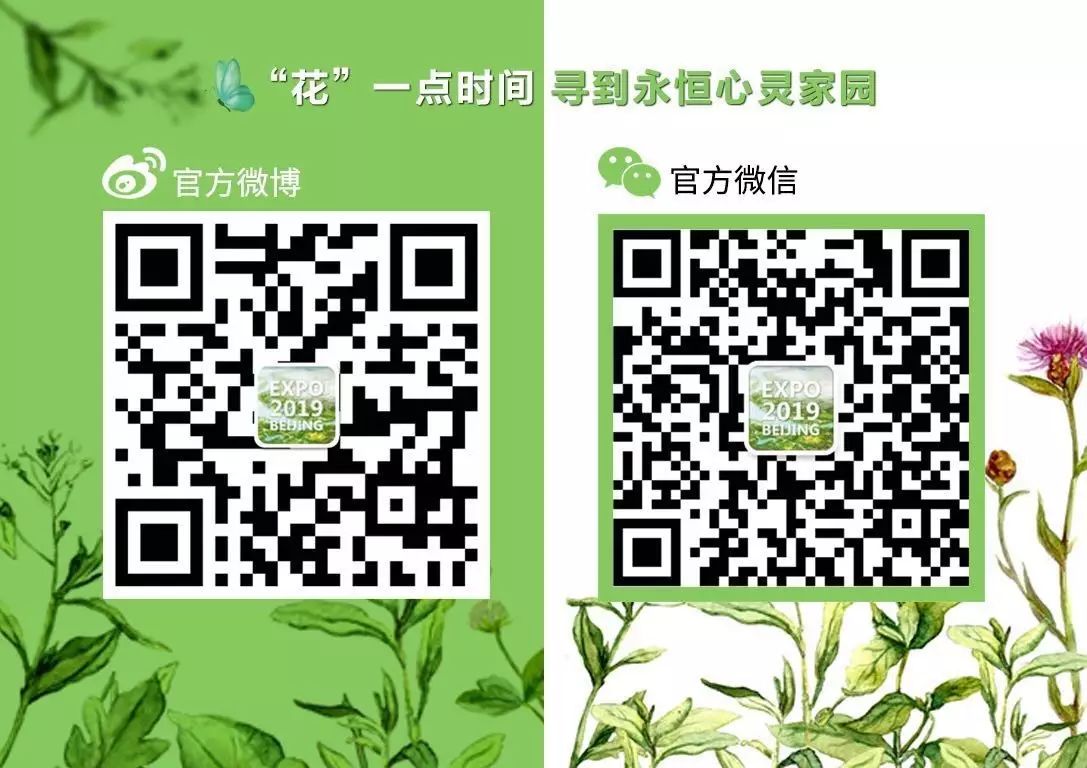 上海園博會2023_上海園博會在哪兒_上海園博會