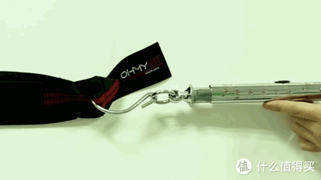 京東眾籌PK瑞典名牌