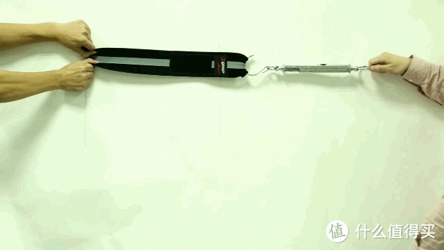 京東眾籌PK瑞典名牌