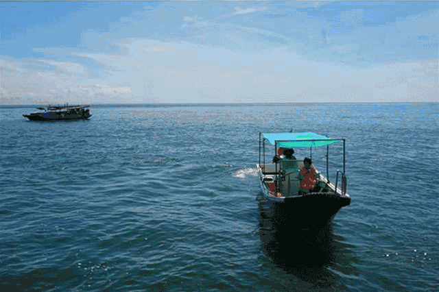 水上極限運動_極限運動的視頻_極限運動跳水