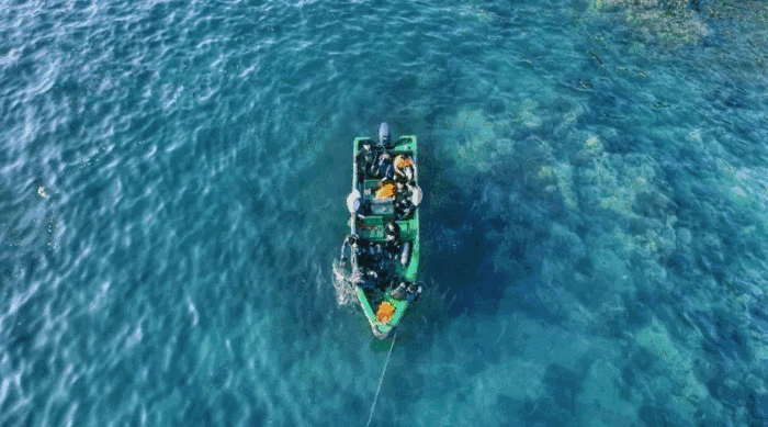 極限運動跳水_極限運動的視頻_水上極限運動