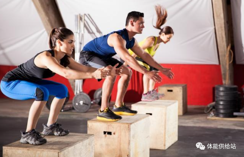 運動神經(jīng)鍛煉_神經(jīng)運動是什么_運動神經(jīng)好的人