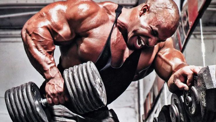 kaiyun官方網(wǎng)app下載app 關(guān)于訓(xùn)練 | 肌肉生長的兩種重要機(jī)制