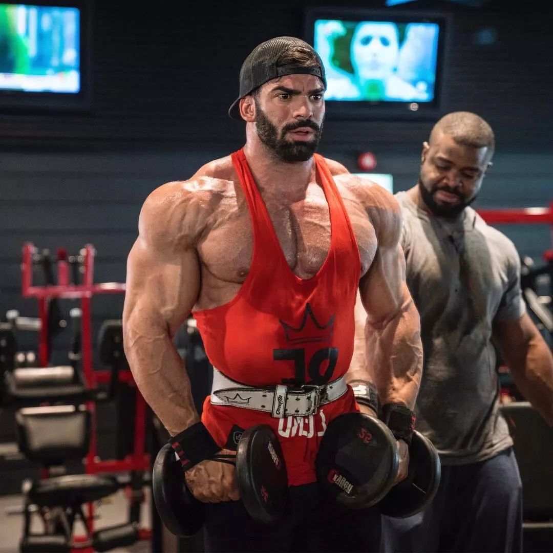 健身法則_健美訓(xùn)練的核心法則是什么_適合自然健美的訓(xùn)練法則