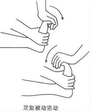 股后群肌包括_股后肌群訓練6種方法_肌群訓練方法的設計