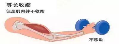 股后肌群訓練6種方法_股后群肌包括_肌群訓練方法的設計
