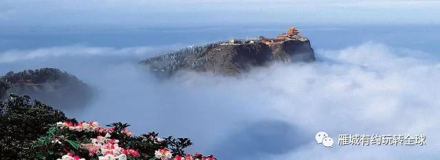 廣場舞納木錯戀人_廣場舞納木錯戀人楊藝廣場舞_廣場舞納木錯分解動作