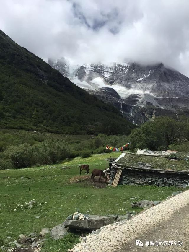 廣場舞納木錯戀人楊藝廣場舞_廣場舞納木錯分解動作_廣場舞納木錯戀人