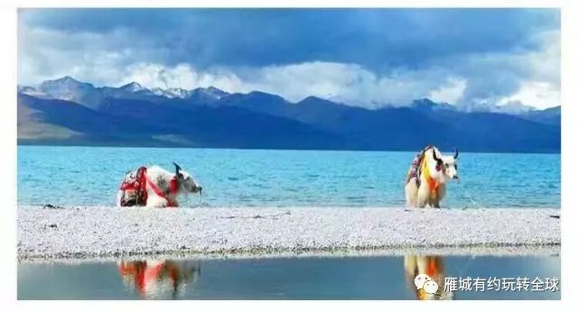 廣場舞納木錯戀人楊藝廣場舞_廣場舞納木錯分解動作_廣場舞納木錯戀人