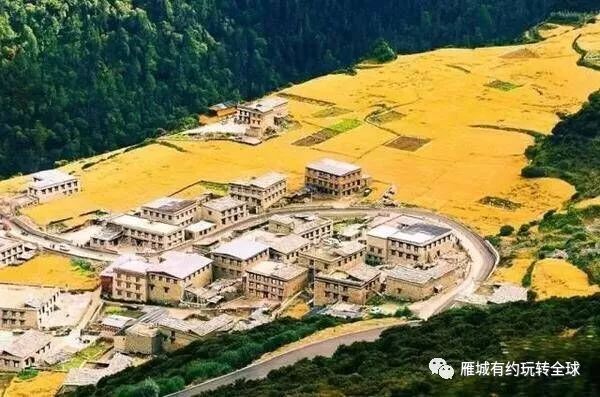 廣場舞納木錯戀人楊藝廣場舞_廣場舞納木錯戀人_廣場舞納木錯分解動作