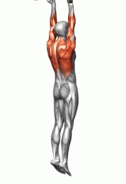 健身推胸的好處和壞處_健身房推胸一般做多少個(gè)_健身推胸的最佳重量