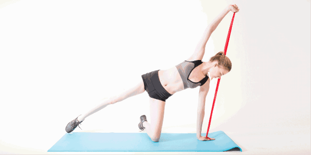 綜合能力訓(xùn)練答案_金吉姆綜合訓(xùn)練器_綜合能力訓(xùn)練