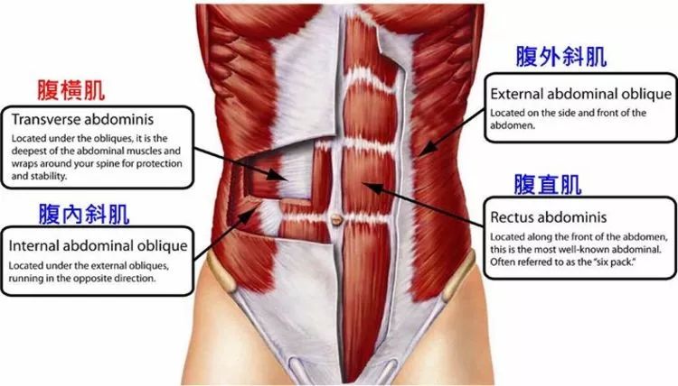 健腹腰帶怎么使用_懶人健腹腰帶_健腹器 腰帶 有效嗎