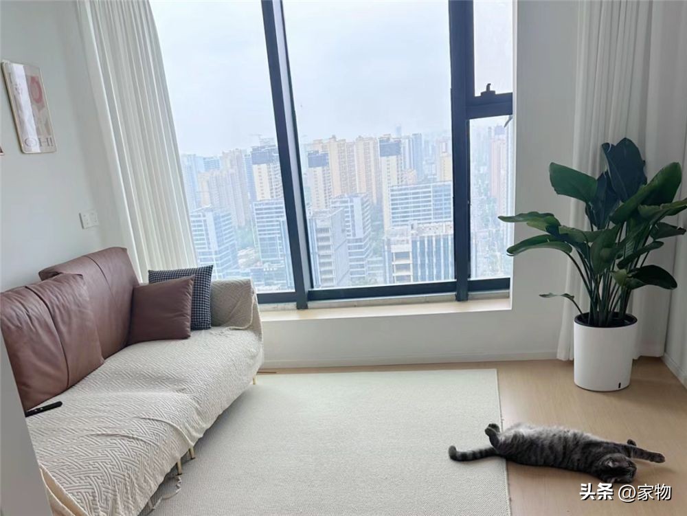 最好用的計(jì)步器_計(jì)步器的好處_計(jì)步器好用嗎