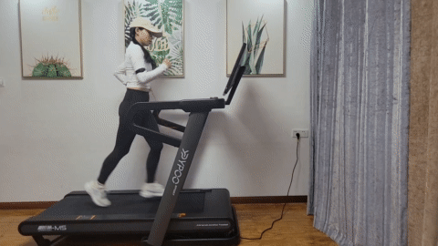 國(guó)產(chǎn)跑步機(jī)品牌有哪些_國(guó)產(chǎn)跑步機(jī)品牌推薦_跑步機(jī)十大國(guó)產(chǎn)品牌