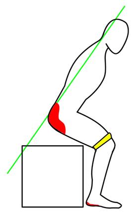 粗練腿變深蹲會讓腿變粗嗎_深蹲把腿練粗了_練深蹲會讓腿變粗嗎