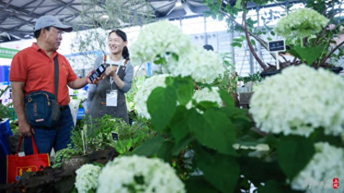 pg娛樂(lè)電子游戲 上海園林景觀展：“一站式”感受花園式生活