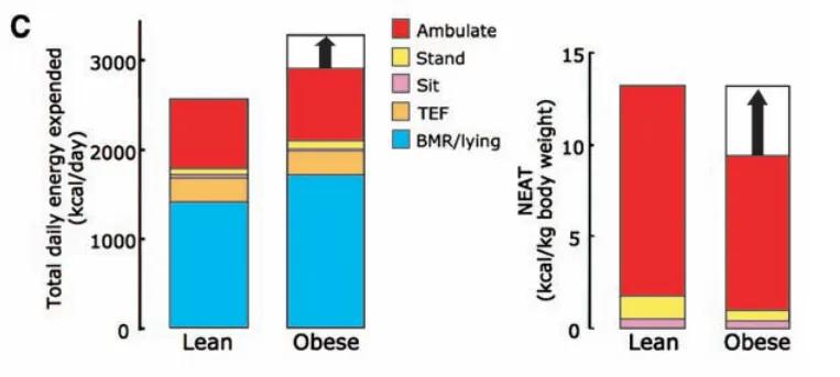 靠墻靜蹲能練出肌肉嗎_靠墻靜蹲可以練核心力量嗎_靠墻靜蹲能練腹肌嗎