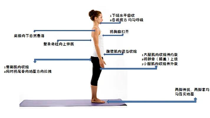 靠墻靜蹲能練腹肌嗎_靠墻靜蹲能練出肌肉嗎_靠墻靜蹲可以練核心力量嗎