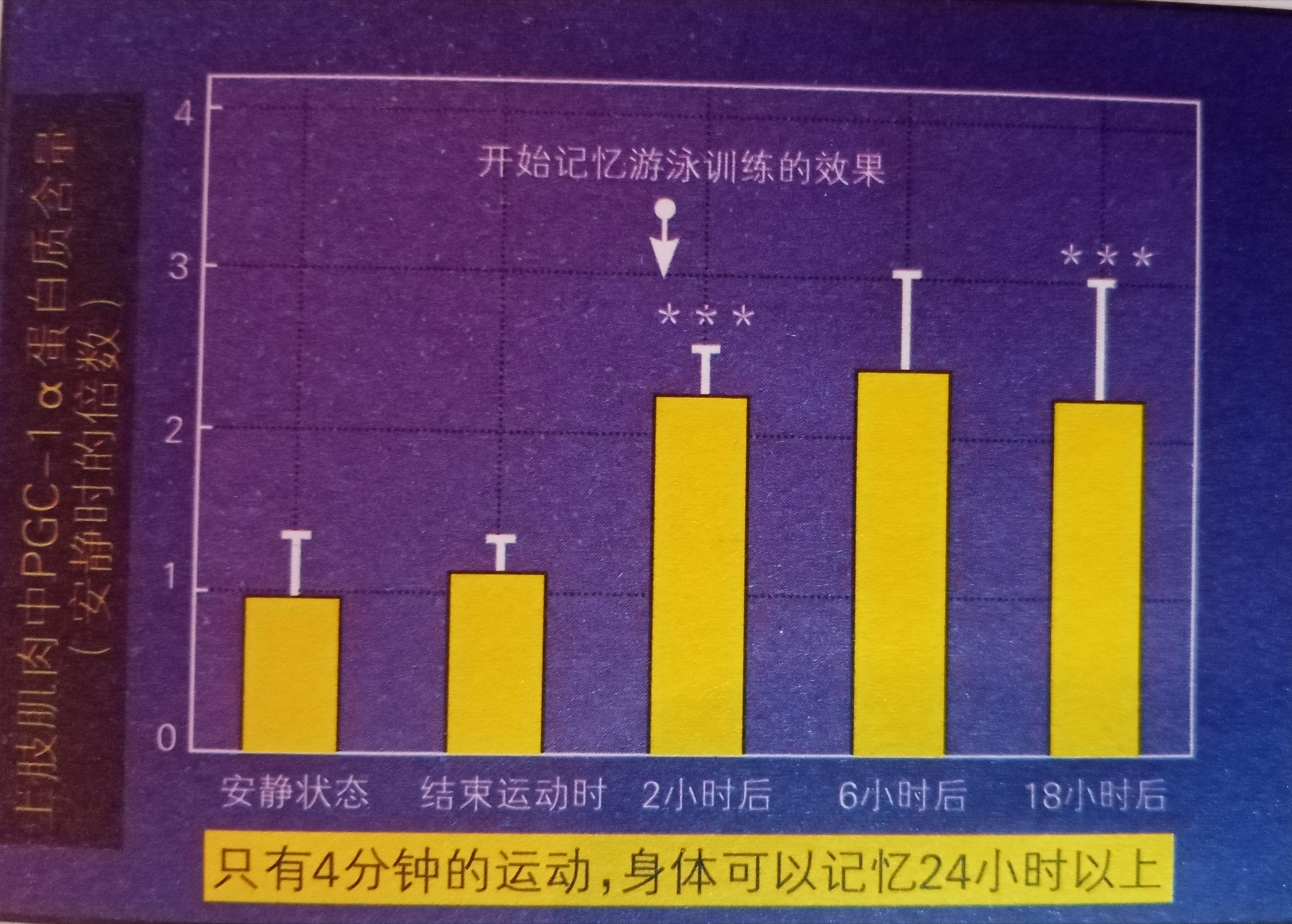 sportsart fitness_TABATA減肥訓(xùn)練方法_高強(qiáng)度間歇訓(xùn)練TABATA