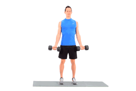 居家健身器材推薦_啞鈴彈力帶訓(xùn)練方法_沒有健身器怎么練胸肌