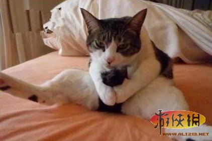 打飛對身體有什么好處_打飛對身體有什么好處_打飛對身體有什么好處