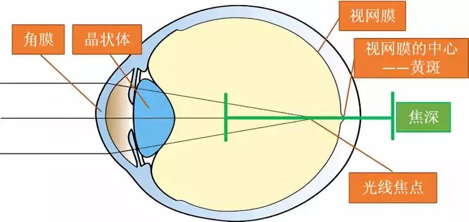 視力訓(xùn)練一般做多長時間_做視力訓(xùn)練有用嗎_視力訓(xùn)練有沒有用
