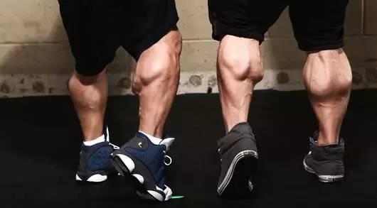 瘦小腿提踵有效果么_小腿提踵會粗腿嗎_提踵會讓小腿變粗嗎