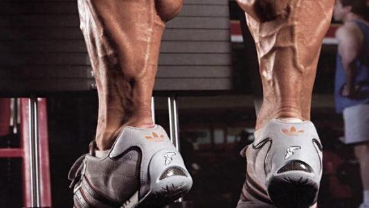 瘦小腿提踵有效果么_小腿提踵會粗腿嗎_提踵會讓小腿變粗嗎