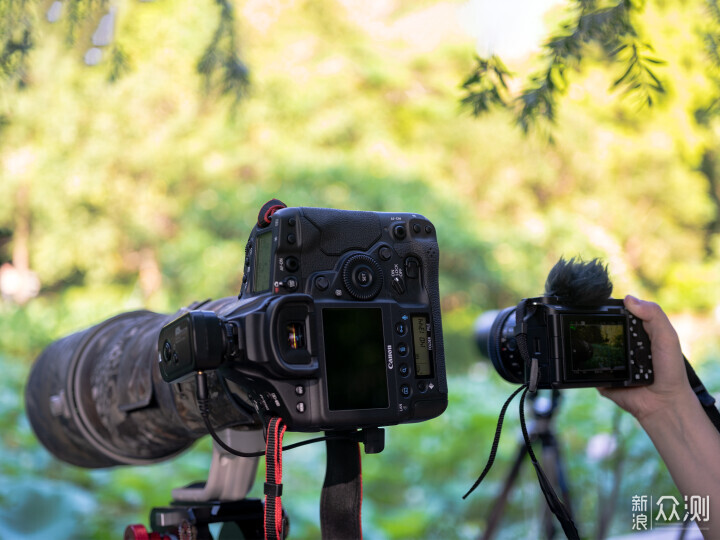 索尼ZV-E1相機體驗，選卡、選鏡頭一文看全_新浪眾測