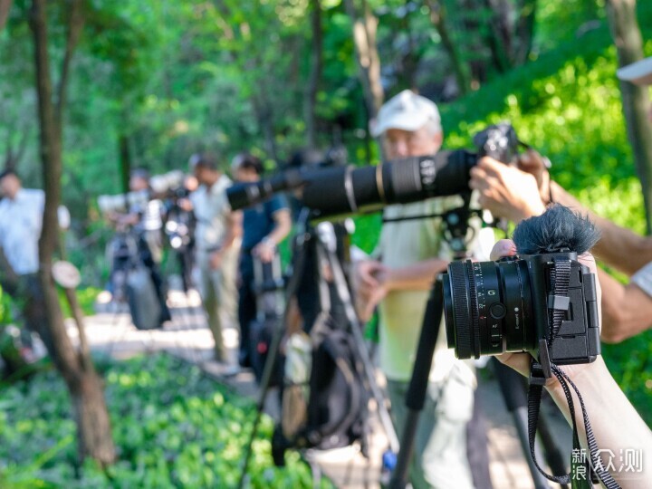 索尼ZV-E1相機體驗，選卡、選鏡頭一文看全_新浪眾測