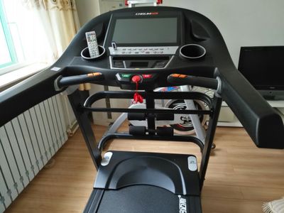 國產跑步機十大名牌 品牌哪個_名牌國產跑步機品牌有哪些_名牌國產跑步機品牌排行榜