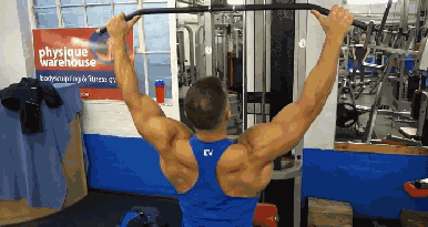 運動器材訓練方法_器材訓練運動方法包括_各種器材的鍛煉方法