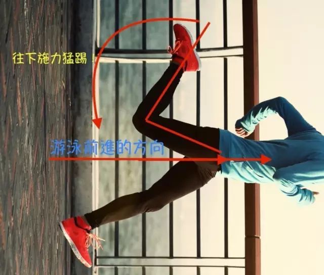 自由泳打腿髖關(guān)節(jié)發(fā)力_游泳髖部發(fā)力打腿圖_自由泳下打腿時(shí)髖部怎樣發(fā)力