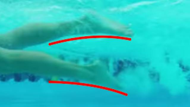 自由泳打腿髖關(guān)節(jié)發(fā)力_游泳髖部發(fā)力打腿圖_自由泳下打腿時(shí)髖部怎樣發(fā)力