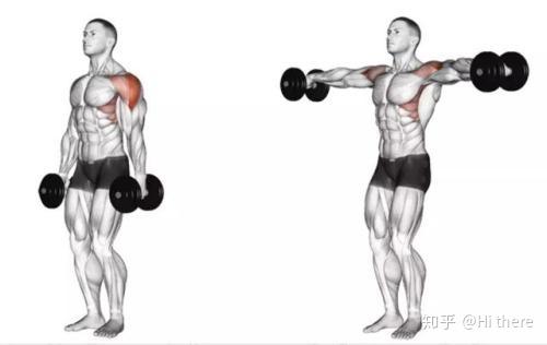 健身解剖詞匯學習_健身手套怎么戴_健身入門詞匯解釋