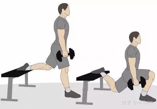 健身解剖詞匯學習_健身入門詞匯解釋_健身手套怎么戴