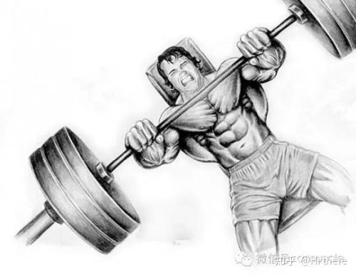 健身手套怎么戴_健身入門詞匯解釋_健身解剖詞匯學習