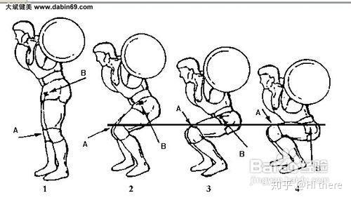 健身手套怎么戴_健身解剖詞匯學習_健身入門詞匯解釋