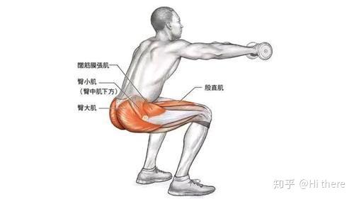 健身入門詞匯解釋_健身手套怎么戴_健身解剖詞匯學習