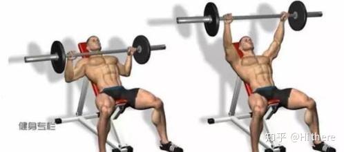 健身入門詞匯解釋_健身解剖詞匯學習_健身手套怎么戴