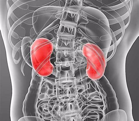 pg棋牌 腎虛做什么運動比較好？