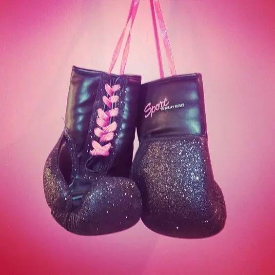 拳擊手套品牌推薦_Everlast拳擊手套價格_schiek健身手套